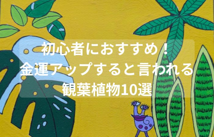 植物　金運　観葉植物　初心者