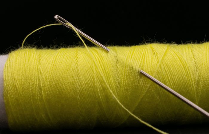 シュウ酸カルシウム　針状結晶　観葉植物