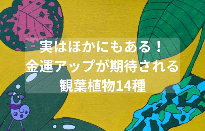 植物　金運　観葉植物　もっと