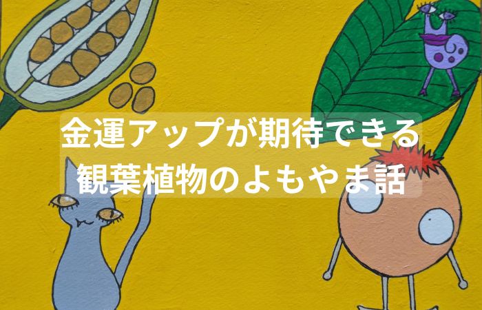 植物　金運　観葉植物　よもやま話
