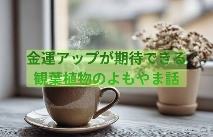 植物　金運　観葉植物　よもやま話