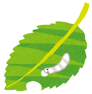 植物　かじる　昆虫　幼虫　イラスト