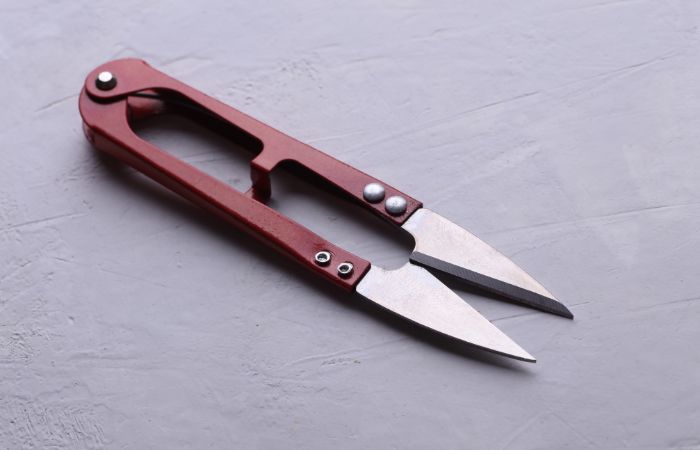 ハサミ　SOS物質　防御