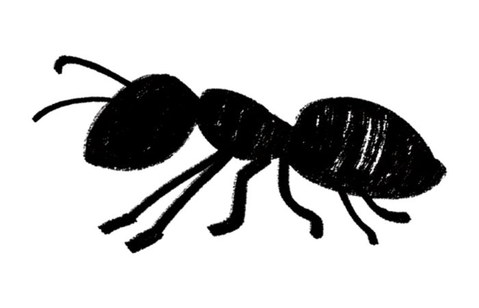 アリ　防御　依頼　イラスト
