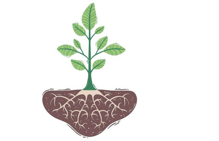 植物　動物　食べさせない　毒　窒素化合物
